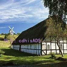 Ʋ
